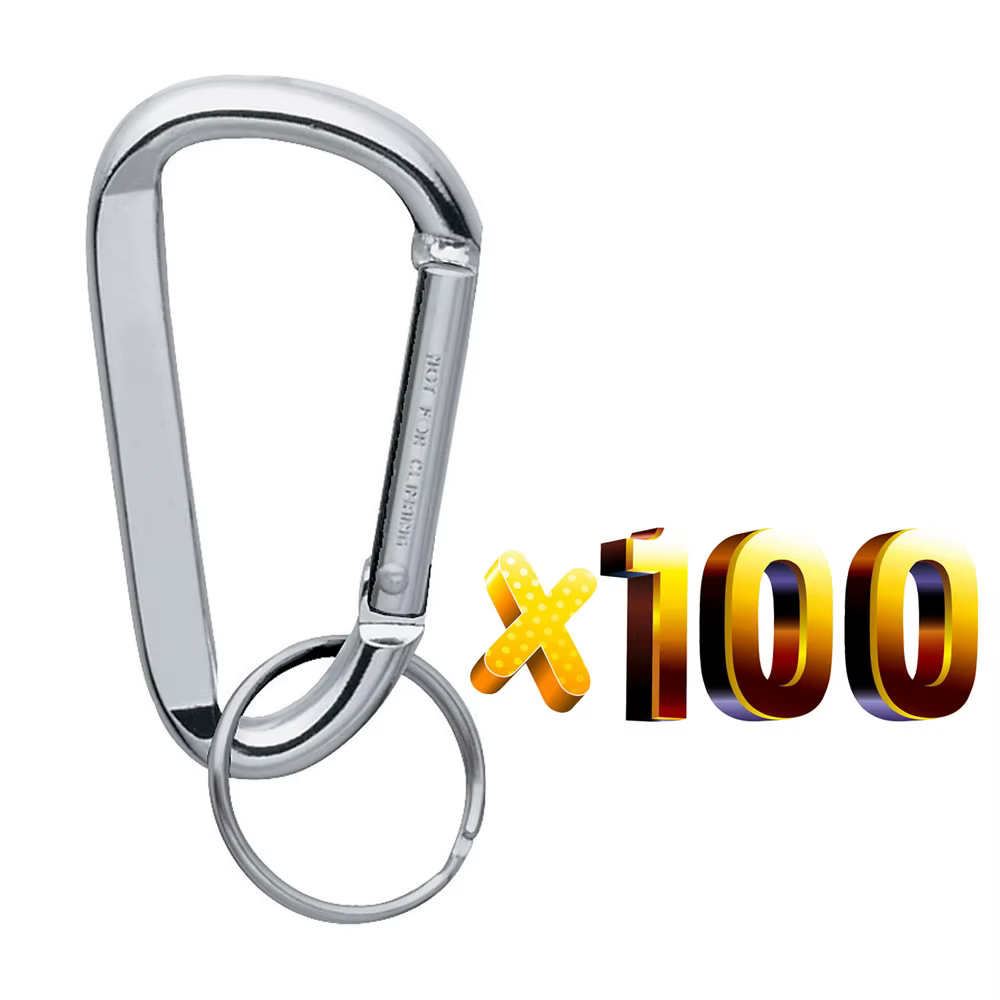 Mousquetons en forme de D personnalisés, porte-clés, anneau, mini carabinier, clips, logo, promotion