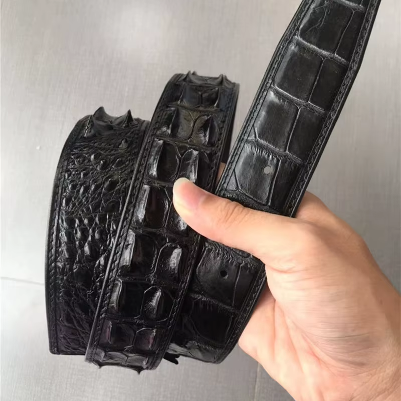 Ceintures marron en peau de crocodile authentique pour hommes, avec boucle à ardillon, en cuir de cr