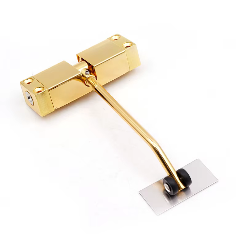 Dispositif de Fermeture existent de Porte à Ressort en Acier Inoxydable, Quincaillerie pour Meubles,