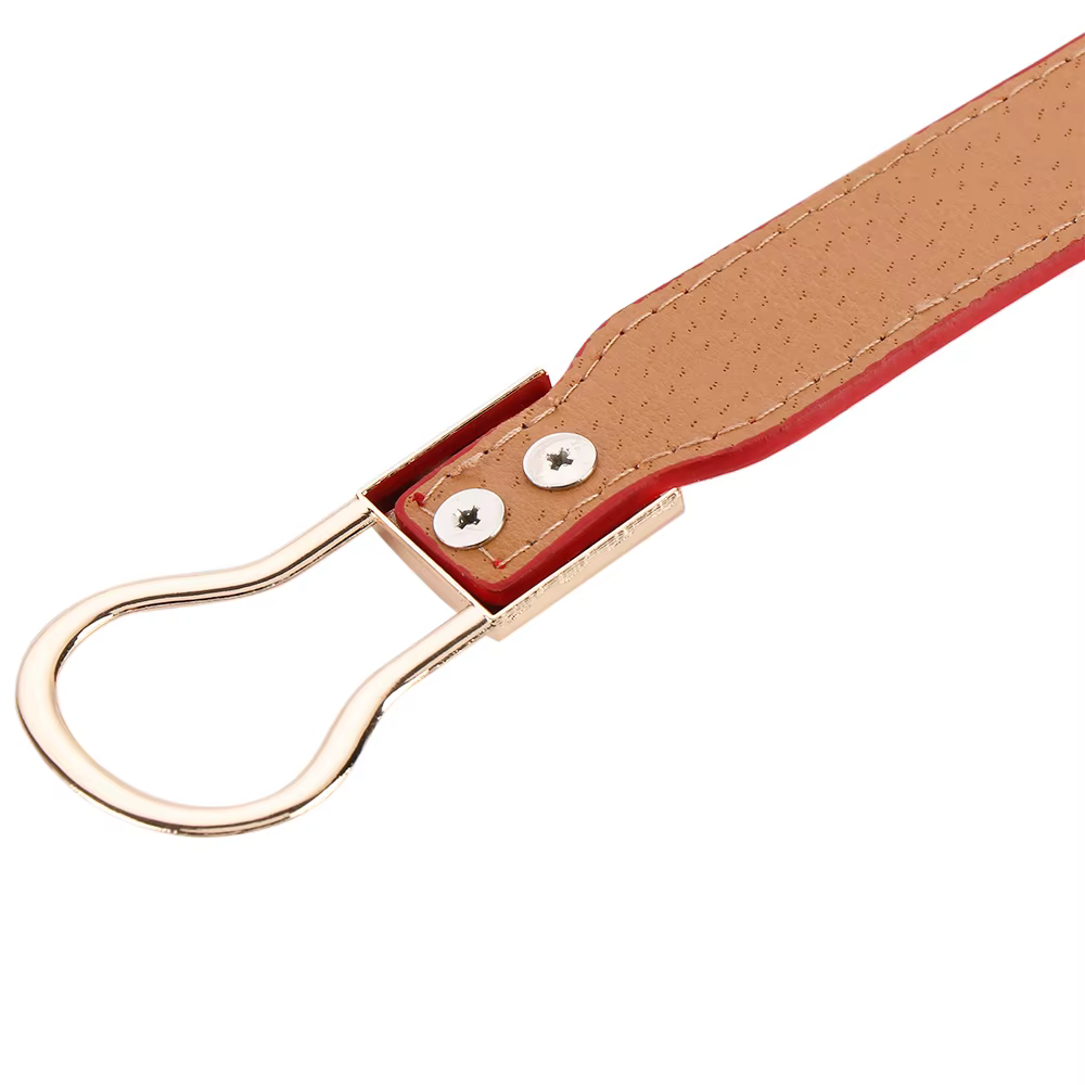 Ceintures pour femmes et filles