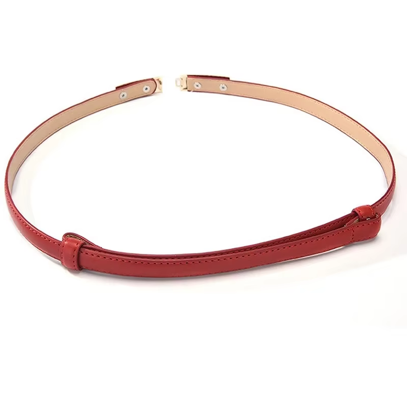 Ceinture robe Simple polyvalente mode femmes en cuir mince maigre métal or élastique boucle