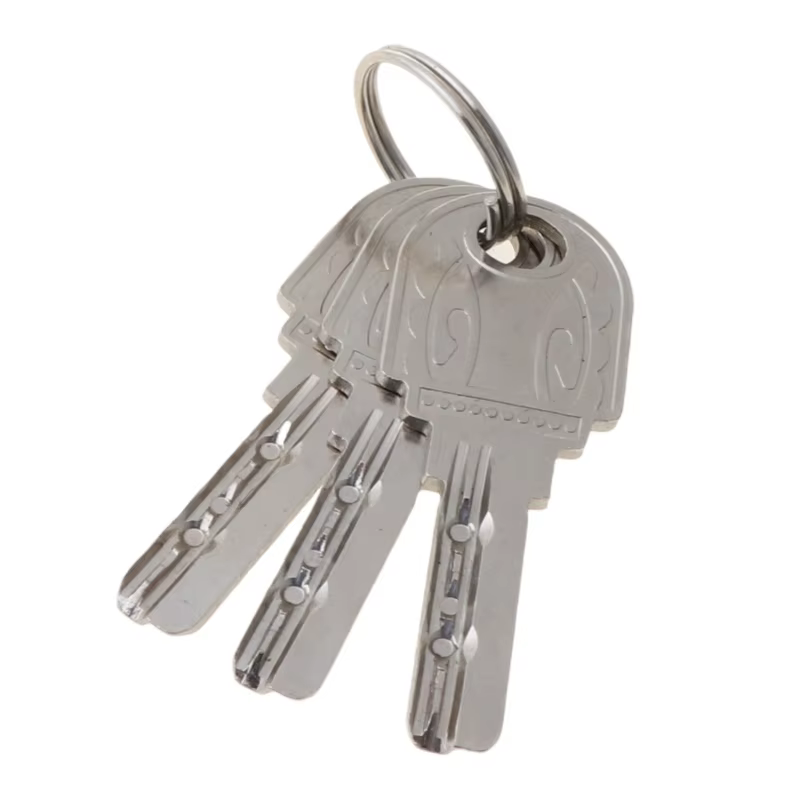 Cylindre de serrure de porte en bois avec 3 clés cylindre de serrure ouvert simple antirouille pour w/pouce porte intérieure de