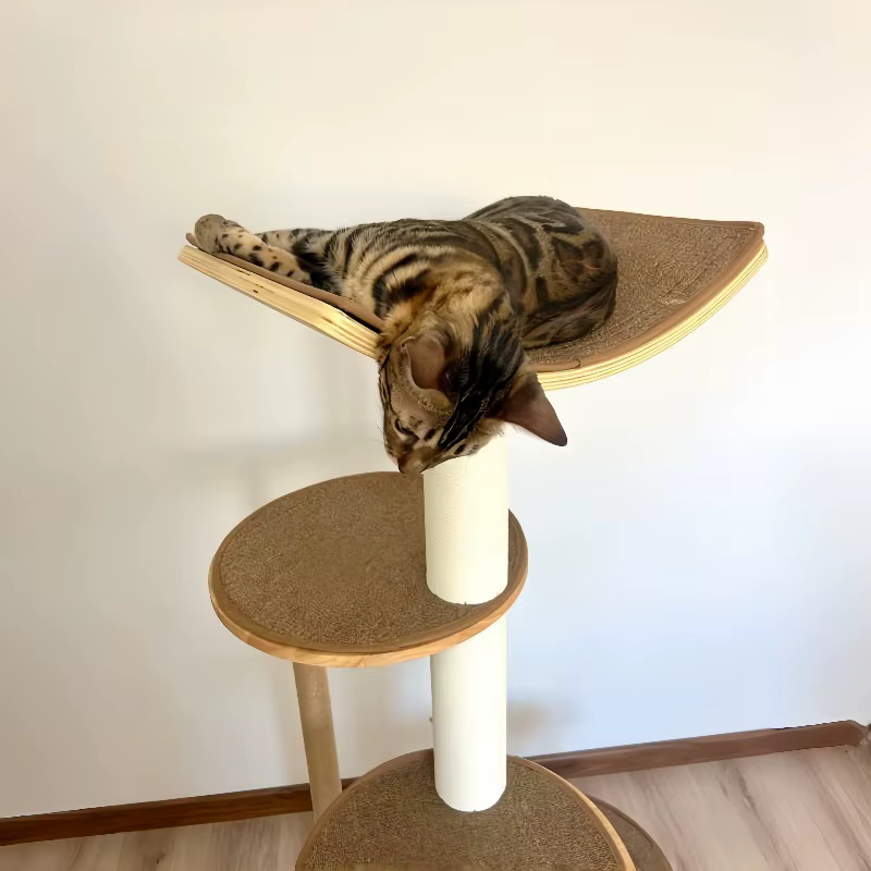 Arbre à chat d'intérieur moderne de luxe en bois courbé avec sisal durable, nouvelle conception, base circulaire pour produits pour animaux de compagnie pour Halloween