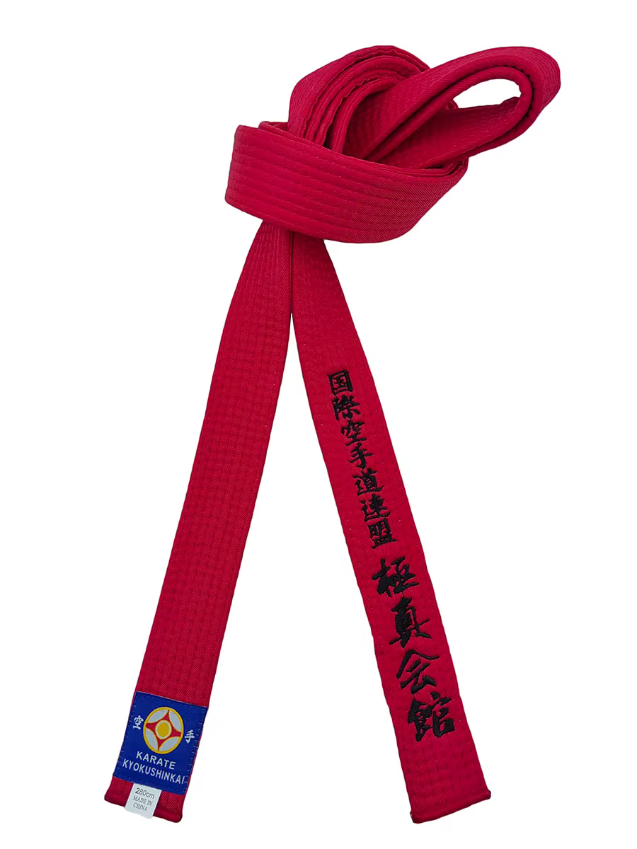 Kyokushi-Ceinture de documents sportifs unisexe, transformation personnalisée des arts martiaux, étiquette de texte brodée, logo de la Fédération internationale de karaté
