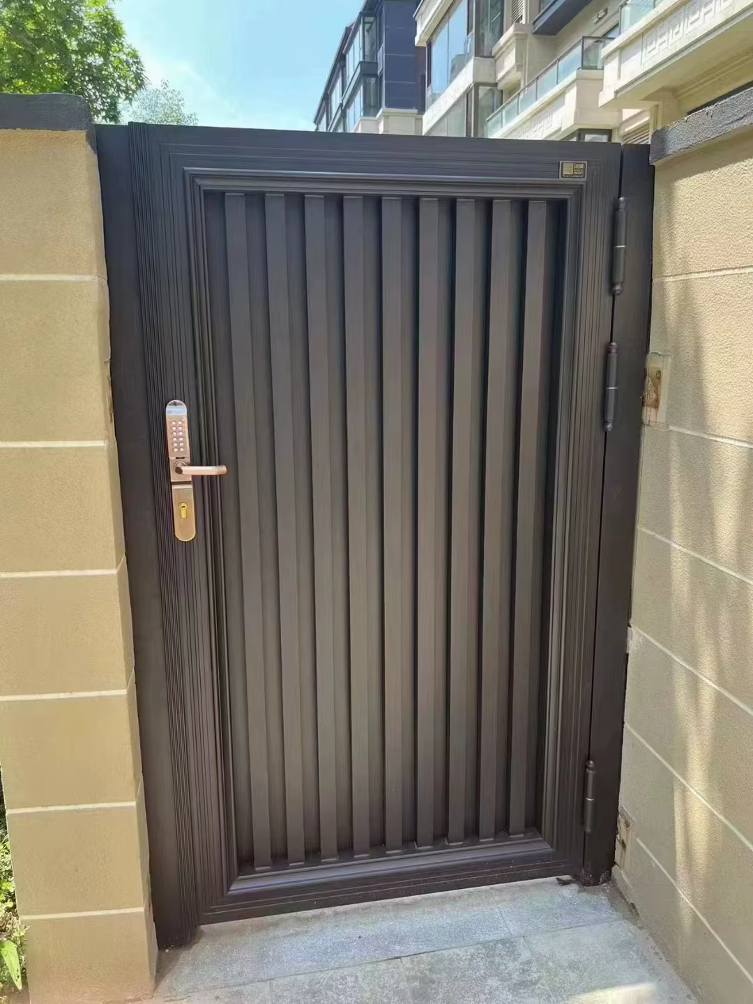 Porte Piétonnière en Aluminium Moderne Résidentielle, Porte de Driway avec Haute Sécurité