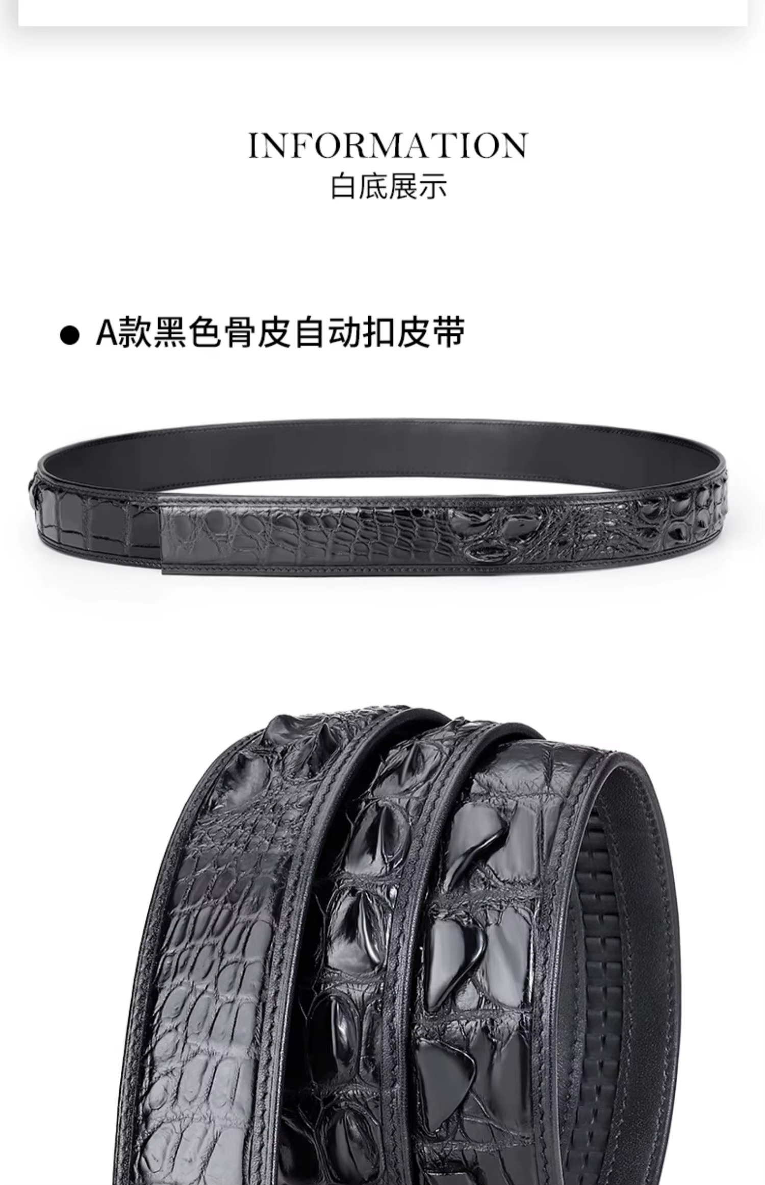 Ceintures Crocodile véritable pour hommes Alligator en cuir