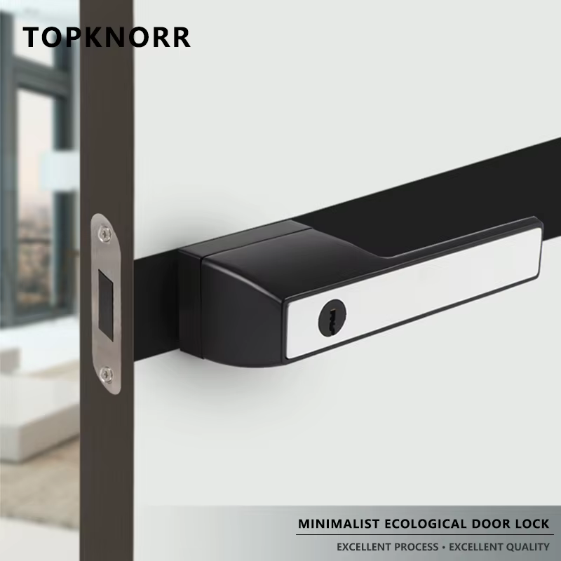 Serrure de porte magnétique intérieure pour chambre à coucher, bois massif silencieux, pingouin, moderne, gris, serrure à poignée universelle domestique, antivol